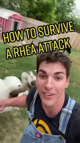 Longer vidyas in the bio sons 👨🏻‍🌾🤝❤️ #animalrescue #zoolife #backyardfarm #weirdpets #animallove #farmlife #urbanfarm #fyp #👨🏻‍🌾🤝