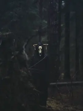 #wallpapers  #satanic #fyp #foryou  #aesthetic #666