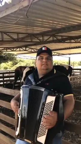nossa fazenda 🎹❤ #toada #toada #vaqueijada #vaqueiro #tarcísiodoacordeon