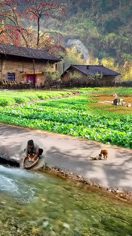 Relaxing 😎 #siyad998 #foryou