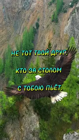 #видеооткрытка# умные мысли#красота #@tatulya50