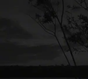 Чтец: Мухаммад Люхайдан «Аль-Фатиха»