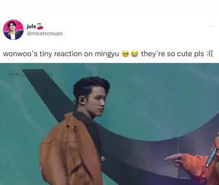 kilig yarn #wonwoo #mingyu #minwon #seventeen #세븐틴 #kpop #fyp