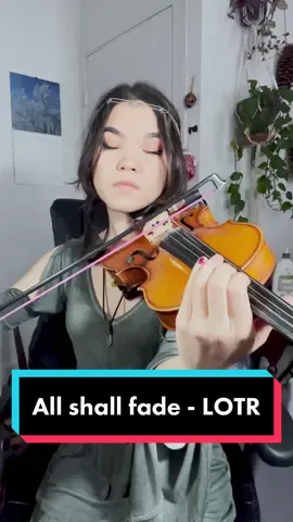 Reply to @theflash21529  Can someone duet this doing Denethor’s part lol 🍅 #lotr #pippinssong #lordoftherings #violin