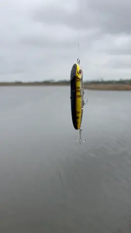 Launching a topwater with @beyondbraid ! #fishing #saltwaterfishing #CorollaCrossStep #AlaskaAirCAREoke