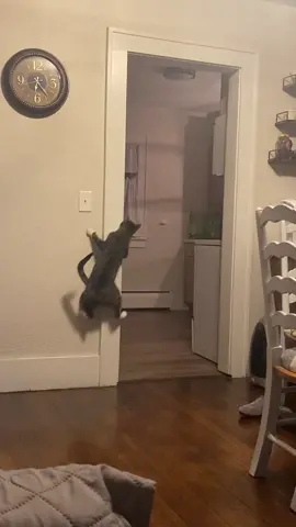 Our favorite game #CorollaCrossStep