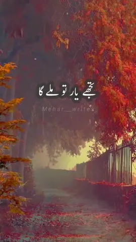Sach kaha tha faqeer ne 💔 #foryou #foryoupage #sadpoetry #1millionaudition #fyp #TikTok