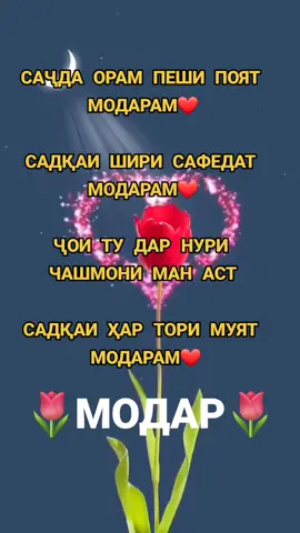🌷МОДАР🌷