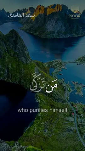 قد أفلح من تزكى - #سعد_الغامدي #قرآن #liak