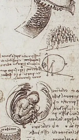 Leonardo da Vinci, the renaissance sage who mastered all knowledge #art  #leonardodavinci #davinci #historyart #arte #painting #fyp #renaissance