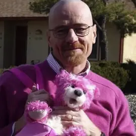 goat #breakingbad #walterwhite #walterwhiteedit #aftereffects #edit #fyp #breakingbadedit