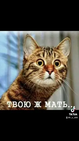 #рек#суббота#работа#