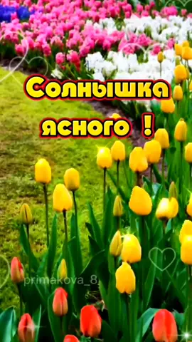 🌷😊#весна #суббота