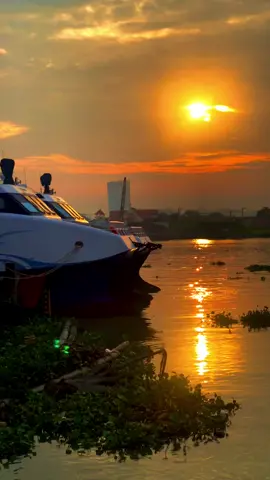 Mặt trời không đến vì em, mặt trăng cũng thế, nhưng tôi sẽ đến. Vì dẫu tiệm hoa không mở, hoa vẫn nở. #fyp #foryou