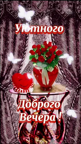 Добрый вечер 🌗🌺