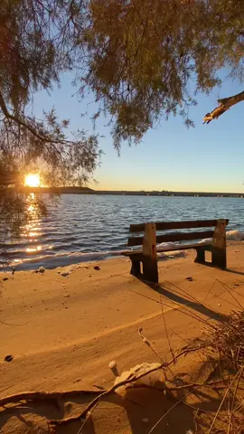 All those lonely, lonely times.. #youwerealwaysonmymind #alwaysonmymind❤️‍ #alwaysonmymind😍 #sunsetloversa #sunsetromantics #sunsetjourney #pelican