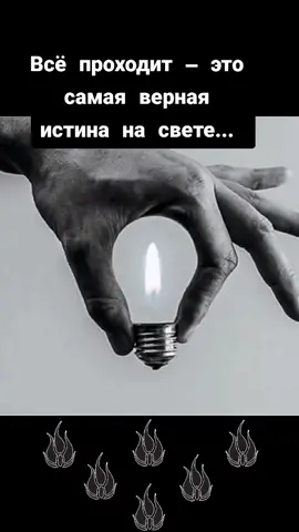 #мысли #цитаты