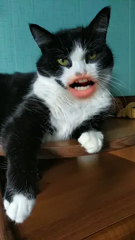 #говорящийрот