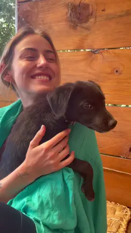 7 days yoga retreat at doron yoga in tzununa at lake atitlan! Forever grateful for this week and all the amazing souls i met! 🙏🏼💛                       #yoga #guatemala #retreat #doronyoga #grateful #yogagirl #movement #dogs #ayurveda