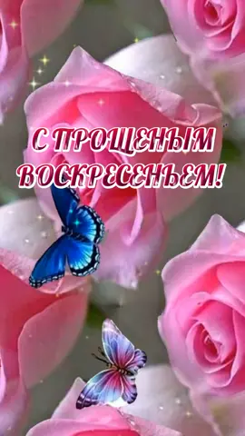 #прощеноевоскресение🎨 #пожеланиедрузьям🎨