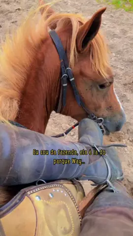 🥰 #fy #vaqueiro #tarcisiodoacordeon