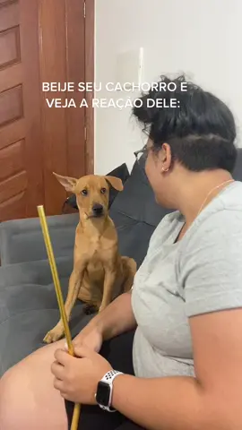 Beije seu cachorro e veja a reação dele 🧡 #fyp #filhote #cachorro #maedepet