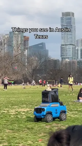 What the dog doin #dog #dogsofttiktok #fyp #austin