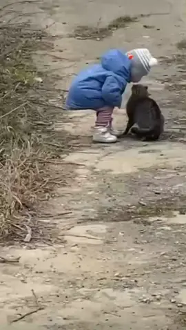 Что за 🥰❤️#❤️ #🥰 #кошка #дети #кошки #любовь #люблю #нашид #наши #детиприколы #бы #люди #россия #мир #нежность #друзья #прикол #грозный