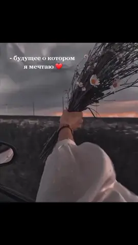 #переписка #любовь #мечты #рекомендации #будущее