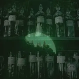 Reply to @alina_matosovi #witchaesthetic #witch #vibe #dark #fogaesthetic #foggy #aesthetic #green#indila#tournerdanslevide #foryou #trend #edit #fyp