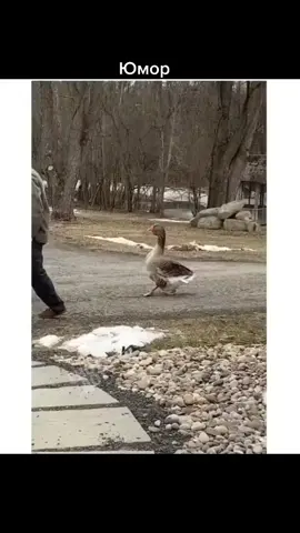 #Юмор#башкортостан #приколыдослёз #смехдослез🤣🤣🤣🤡