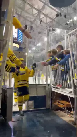 A public service announcement #GoBlue〽️ #collegehockey