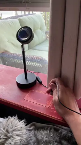 Kitty lamp socket magnet door