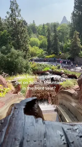 Answer- really wet #splashmountain #disneyparks #disney #disneyvacation #disneytiktok #disneyrides