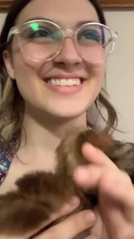 cookie