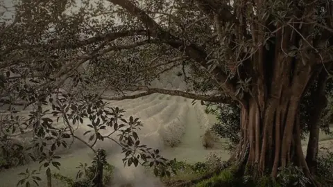 mau ngumpulin lagu vibes 2021😎 #galaubrutal #strywa #fyp