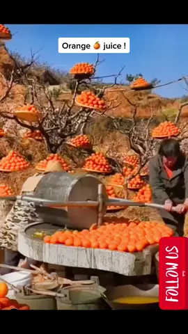 #food #Foodie #fyp #fypシ #foryou #foryourpage #you #engineering #machine