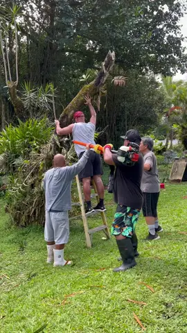 Everyone is okay 😂 #fail #ladderfall #treework #LinkBudsNeverOff #OREOBdayStack