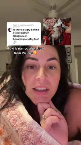 Reply to @tanyaforrester87  🥰 #floki #vikings #perth #bullterrier #bully #dogsofttiktok #pettok