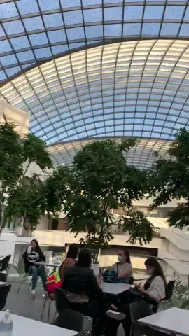 O einstein ta de casa nova💙 #fy #fyp #einstein #atlética #medicina