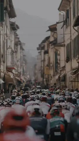 Stage 2 🔱 #tirrenoadriatico #weeee #cycling #cyclinglife #cyclingpassion