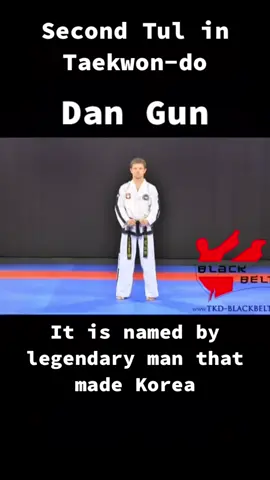 It’s pattern for yellow belt. Man in the video is named Jarosław Suska. #tkd #martialarts #fyp #tul #pattern