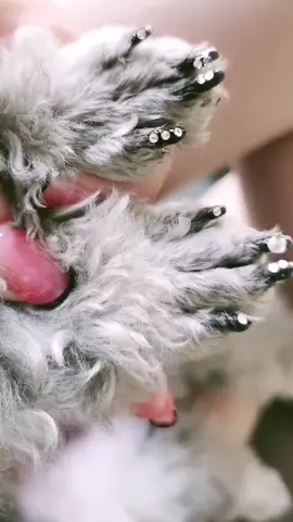 #nails #nail #nailart #nailtech #nailsartvideos #dogsofttiktok