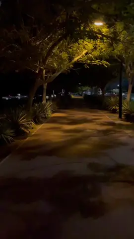 #شاطي_السيب #fypシ #اكسبلورررررررررررررررررررر💥🌟💥🌟💥💥🌟🌟🌟🌟🌟 #سلطنه_عمان🇴🇲 #كويلي #البريمي #البشاير🐪🏅 #البشاير_ملتجانا #مسقط_عمان