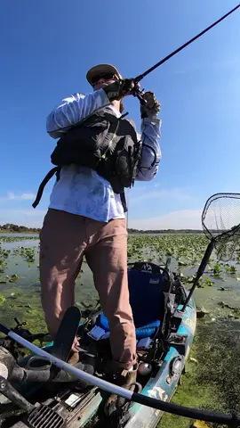 Clip from last year landing my 100th  #NorthernSnakehead.This year my goal is 200! We'll see if I can makeit happen🐍🤞 #hocbftw #hookset10000#snakeheadfishing #northernsnakeheadfishing#kayakfishing #topwaterfrog