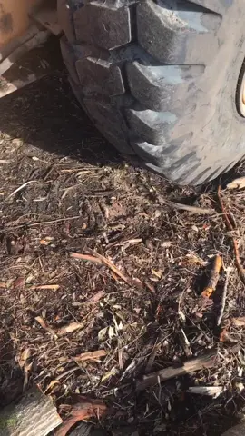 Everyone’s a loser in this game #inrustwetrust #CloroxMistChallenge #janky #florida #LinkBudsNeverOff #citruscounty #LifeIsGood #heavyequipment #mechanic #fukm #whatamidoing