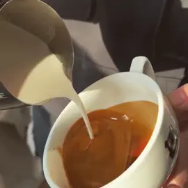 abyy latteart.