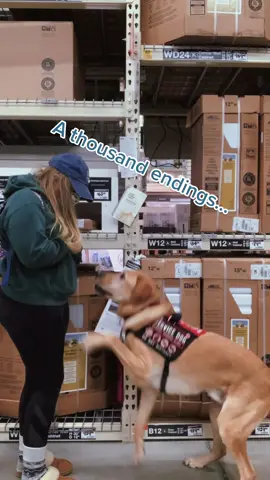 You mean everything to me🥺❤️ - wouldn’t be here today without him. #servicedog #serviceanimal #fyp #foryou #disabled #chronicillness