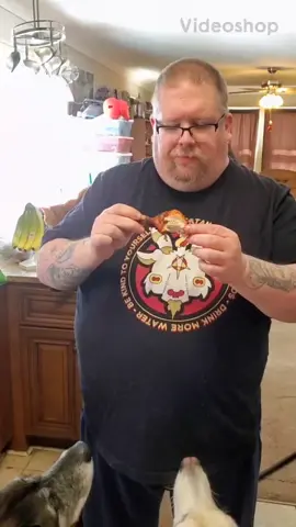 Negan, the cat who steals half your food, decides he wants dad's drumstick