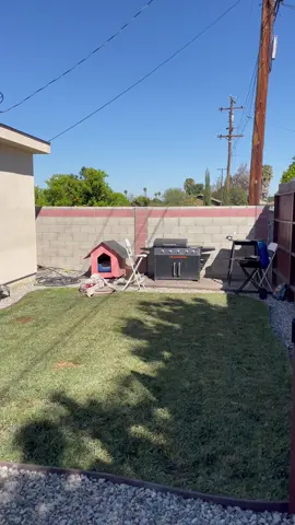 #beforeandafter #backyardvibes #backyardfun #mobile #transform #littleseekerssoftplay #softplay #1stbirthday #waitforit #parentinghack  #TurboTaxAlphorn #bdayideas #sidehustle #toptier #dreamsetup #showtime #elite #SmallBusiness #bringthefun #events